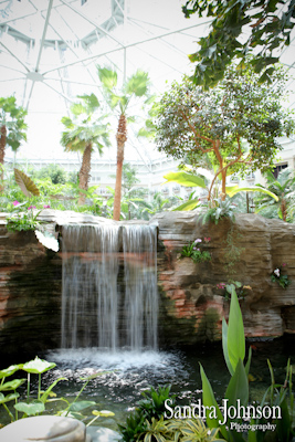 Best Gaylord Palms Wedding photographer, Orlando - Sandra Johnson (SJFoto.com)